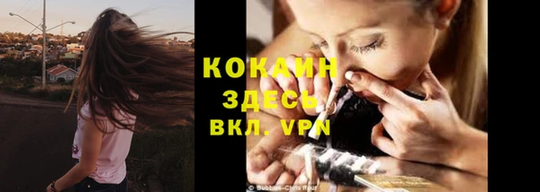 шишки Аркадак