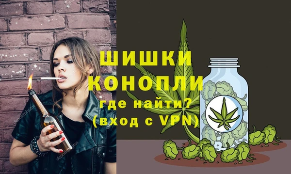 шишки Аркадак