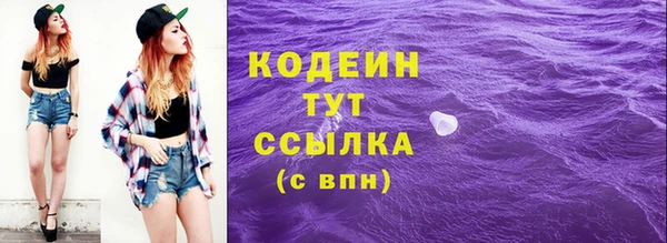 прущие грибы Арсеньев