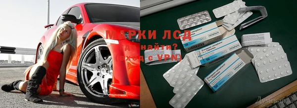 a pvp Баксан