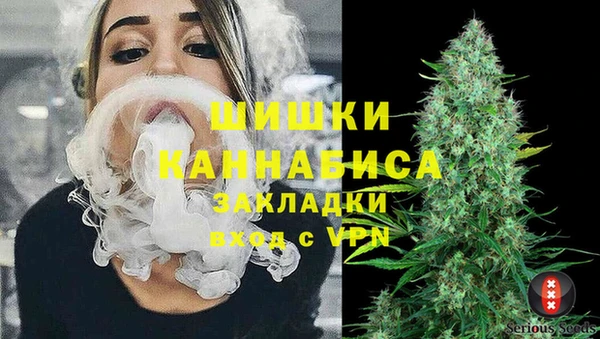 шишки Аркадак