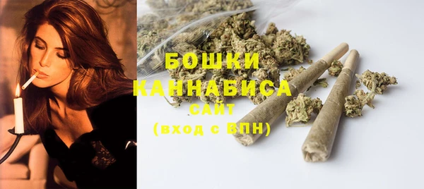 шишки Аркадак