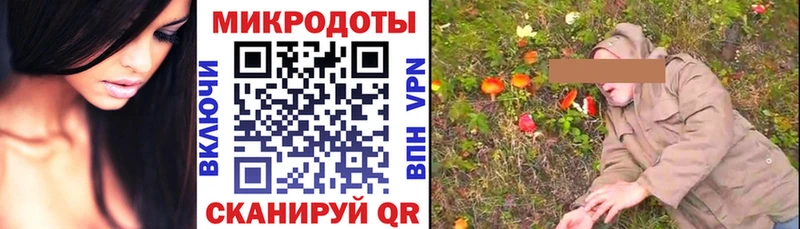 Псилоцибиновые грибы MAGIC MUSHROOMS  Купить где  Балашов 